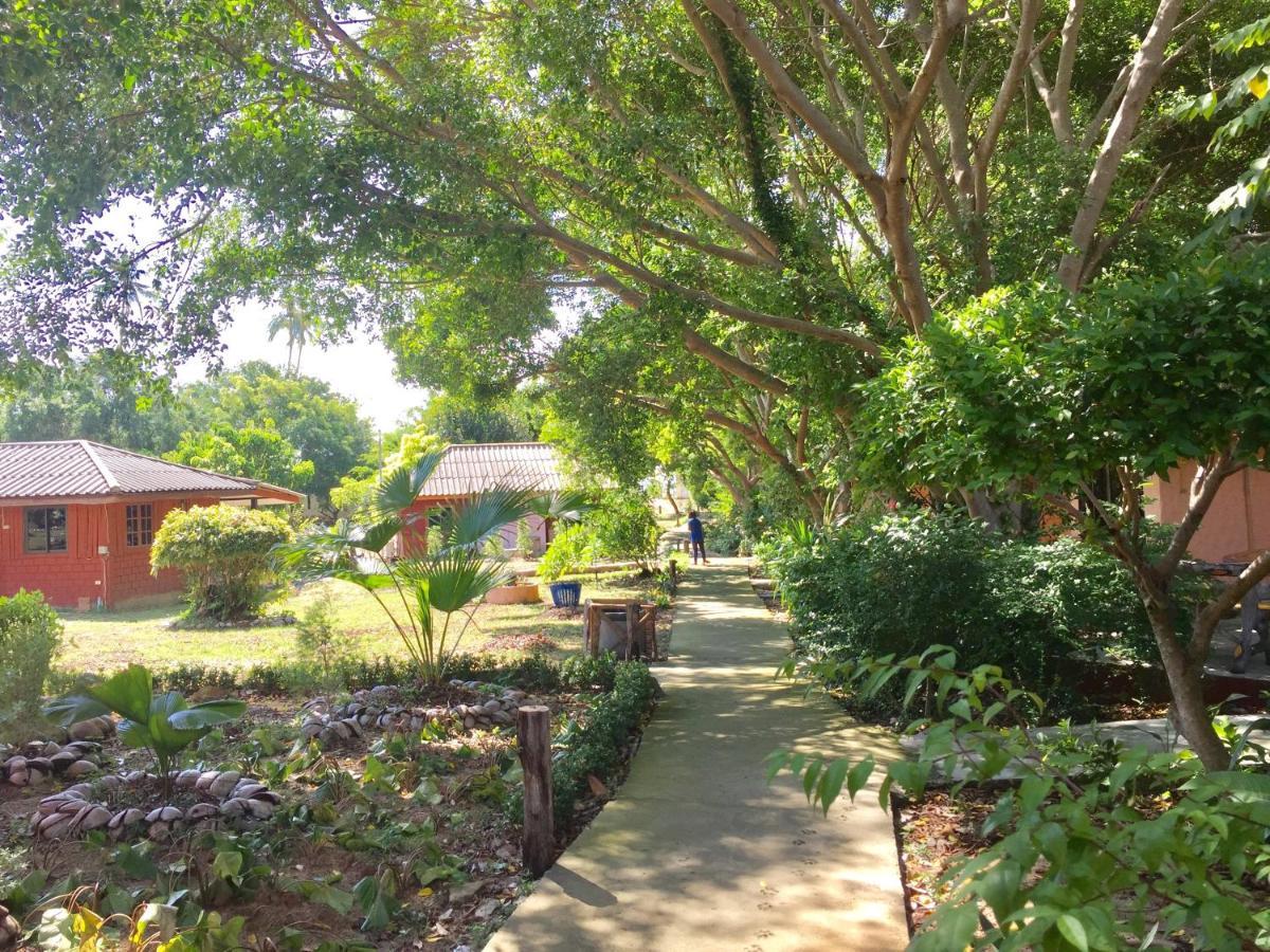 Lamai Chalet Amphoe Koksamui Esterno foto